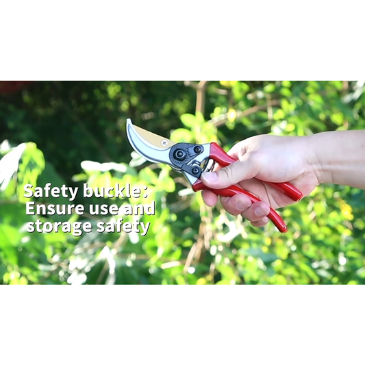 Pruner