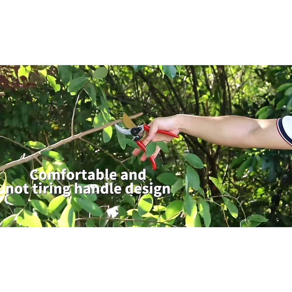 Pruner