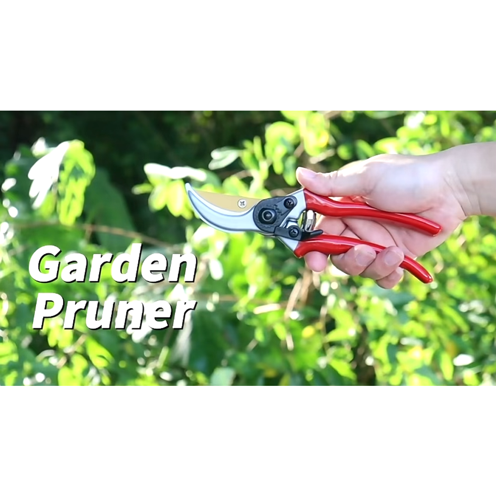 Pruner
