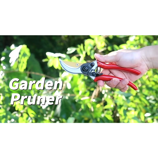Pruner