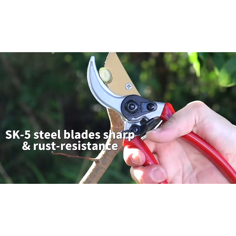 Pruner